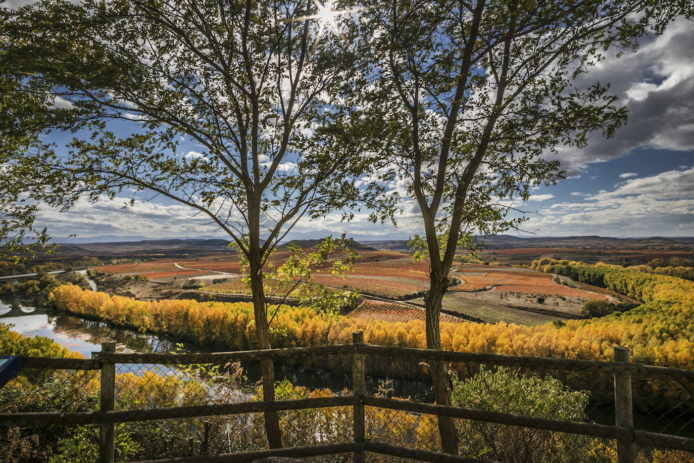 Fotos: El otoño transforma el paisaje de La Rioja