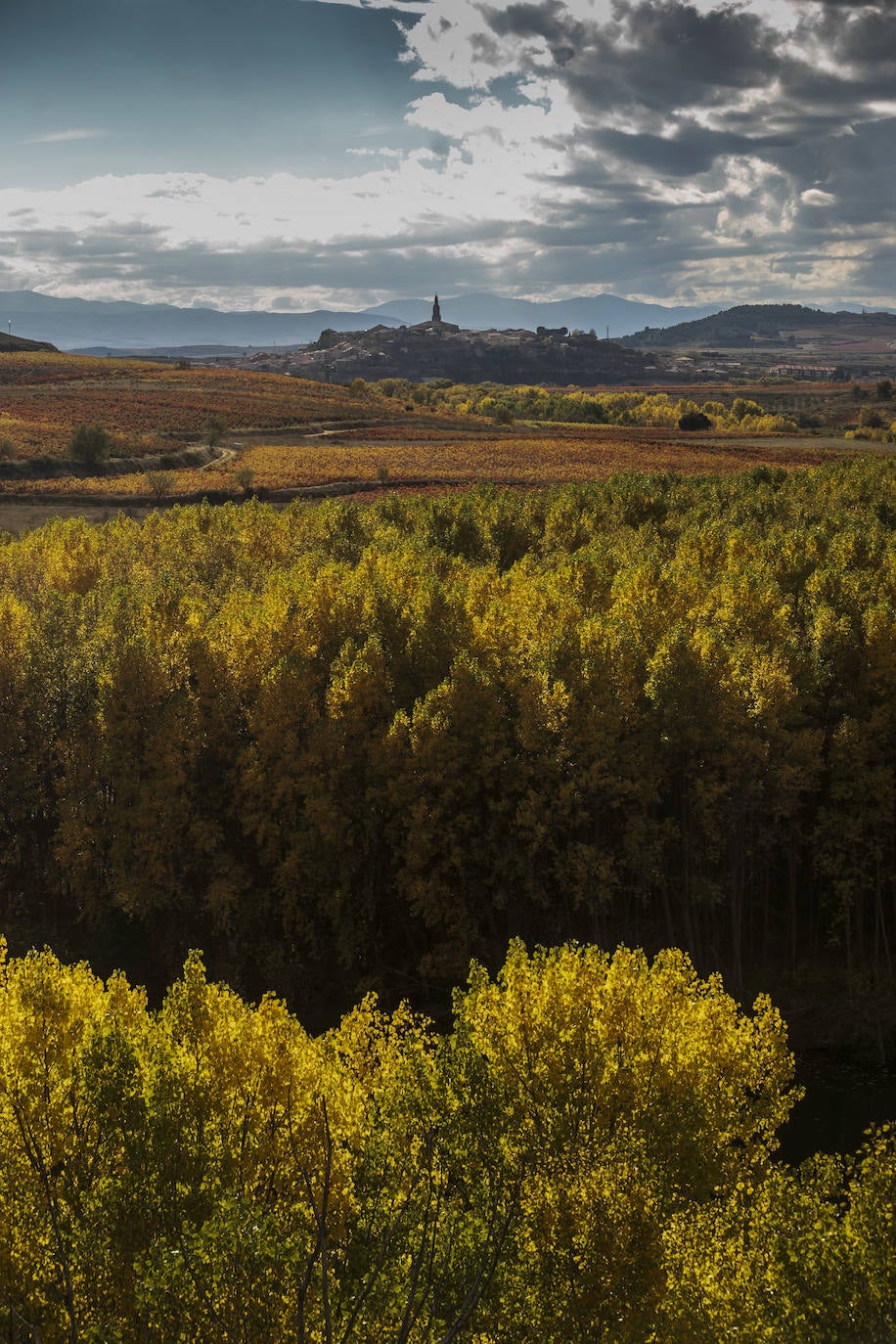 Fotos: El otoño transforma el paisaje de La Rioja