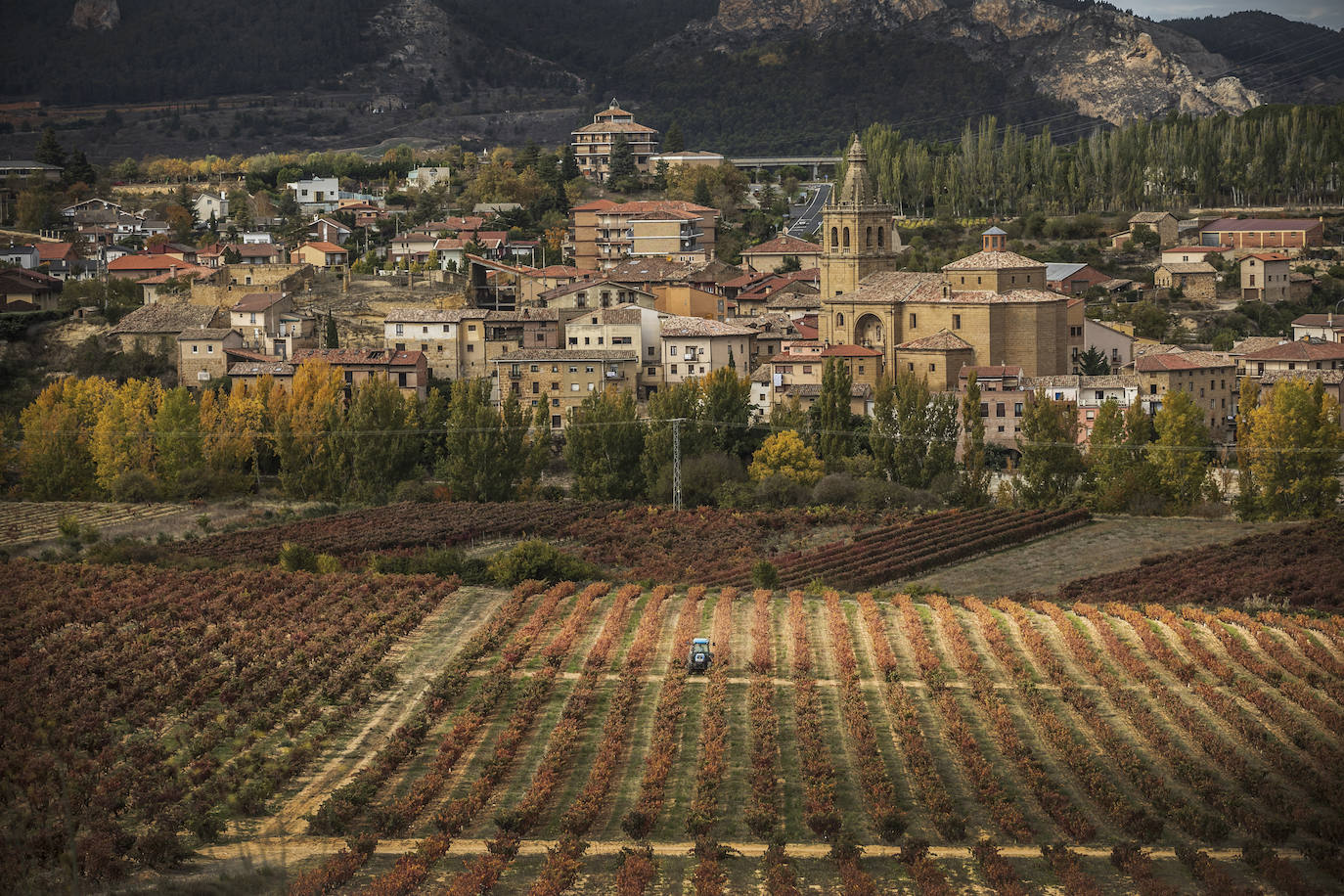 Fotos: El otoño transforma el paisaje de La Rioja