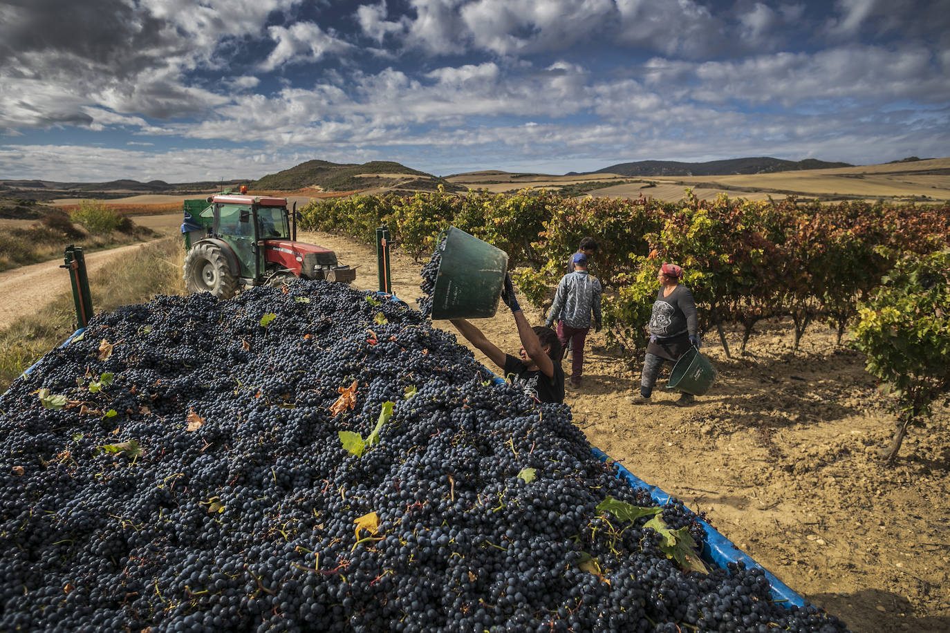 Fotos: El otoño transforma el paisaje de La Rioja