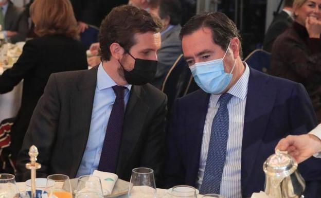 Casado compara la pugna en la coalición con una «jaula de grillos»