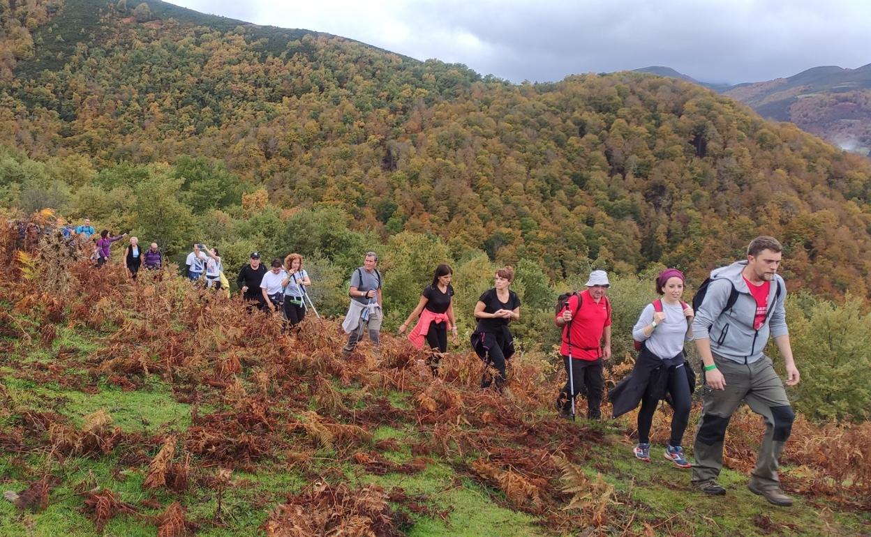 400 caminantes por los montes otoñales de Tobía