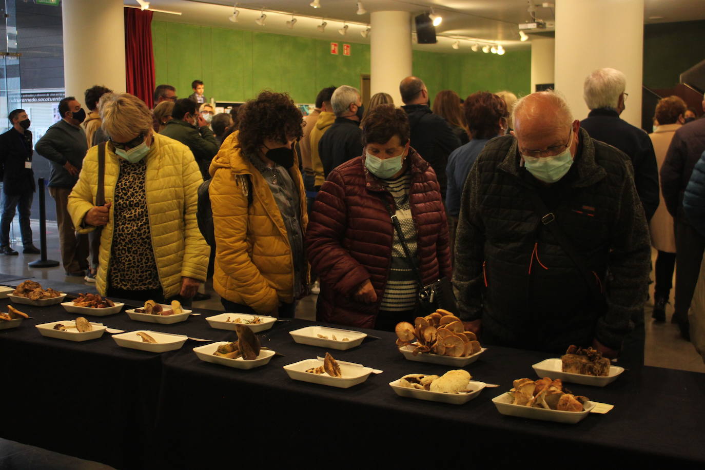 El vestíbulo y el entorno del Teatro Cervantes se han transformado este domingo en embajadas del entorno natural de la ciudad del calzado