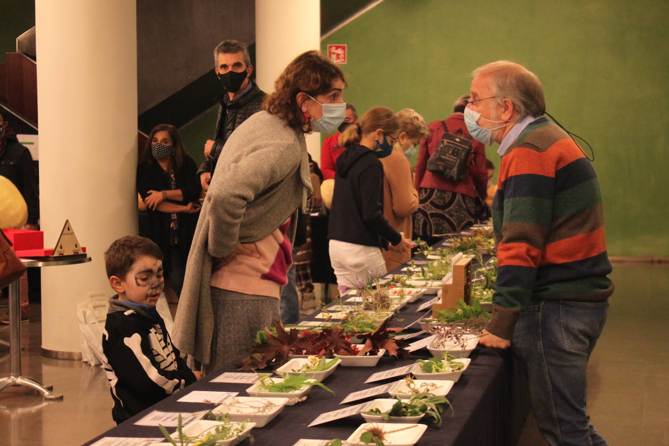 El vestíbulo y el entorno del Teatro Cervantes se han transformado este domingo en embajadas del entorno natural de la ciudad del calzado