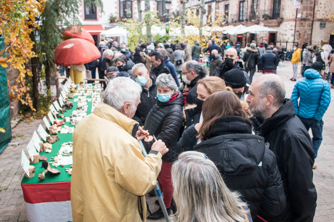 Fotos: Las jornadas micológicas de Ezcaray, en imágenes