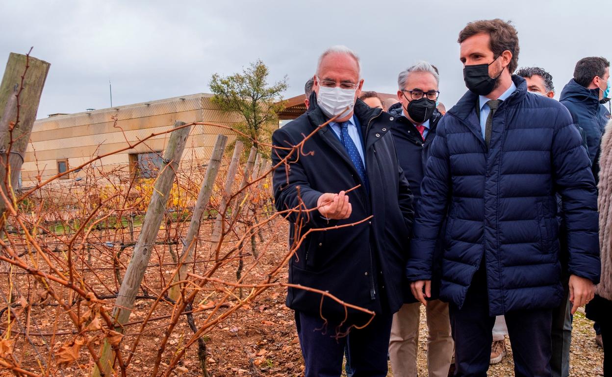 Casado visita unas bodegas en Logroño, acompañado por el presidente del PP riojano, José Ignacio Ceniceros. 