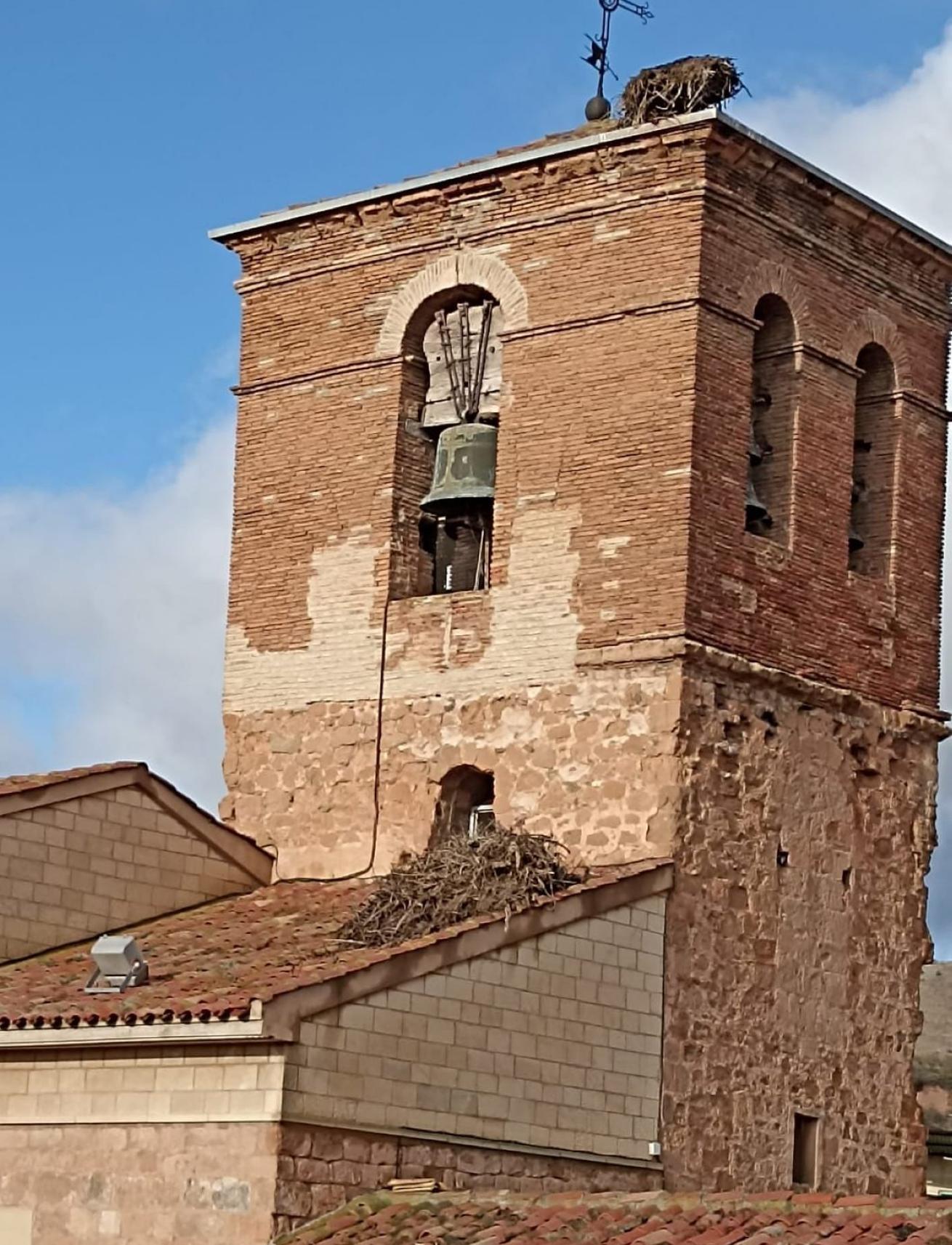 La mitad del nido cayó sobre un tejado y la otra quedó en la torre. 