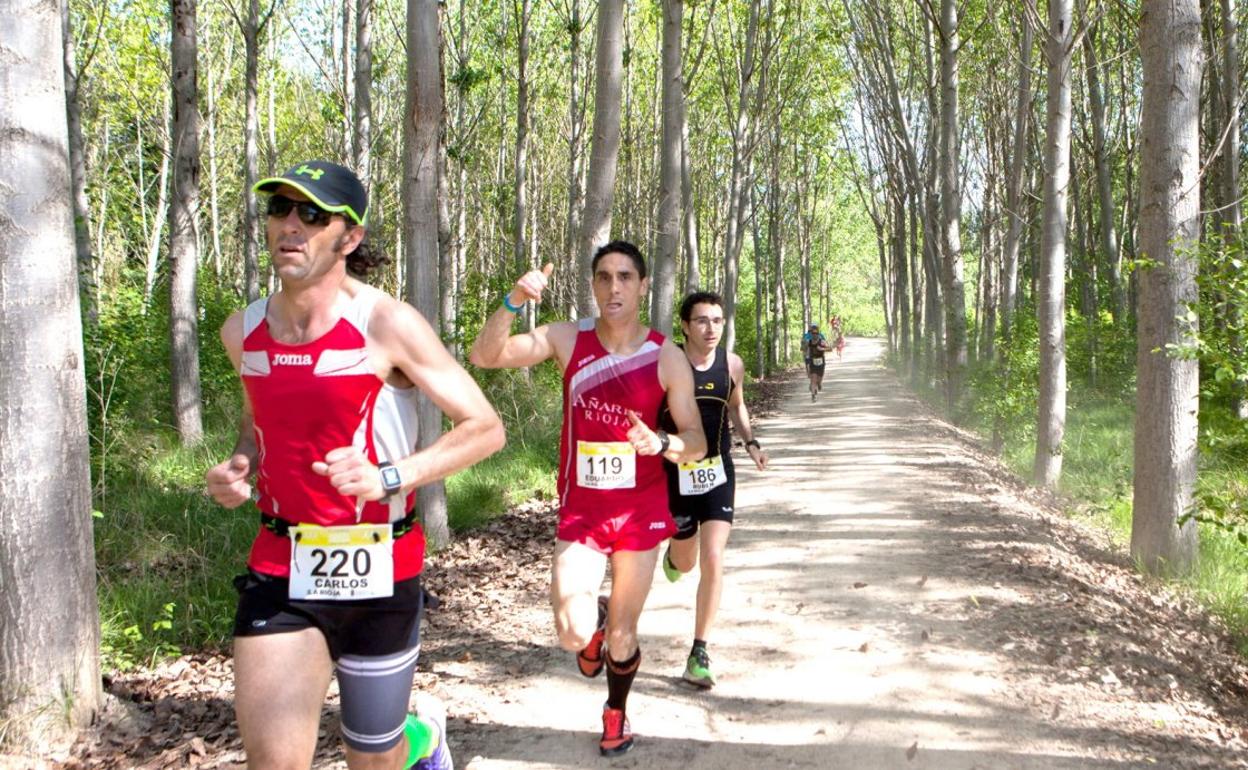 Los corredores atraviesan una chopera en una de las últimas ediciones disputada de la Carrera Valle del Iregua. 