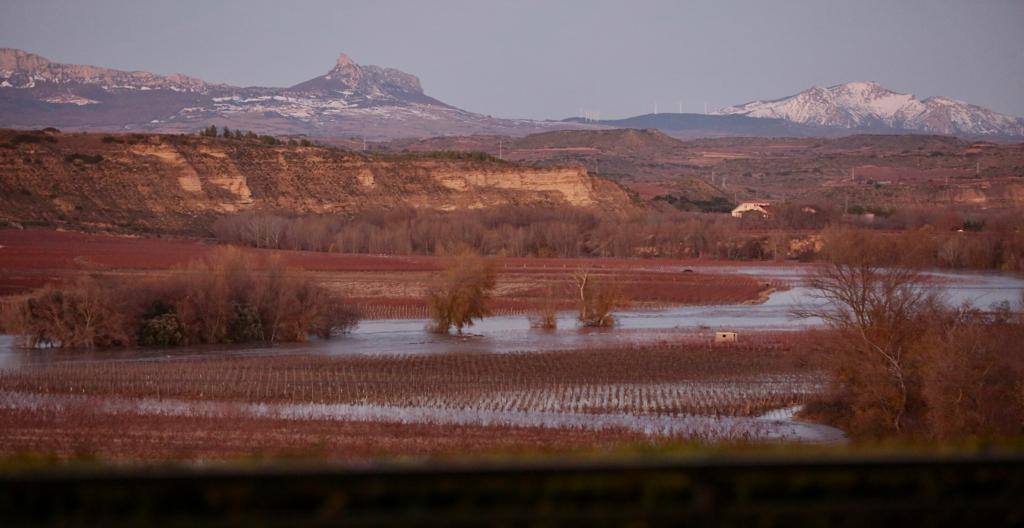 La orilla alavesa del Ebro cerca de Cenicero