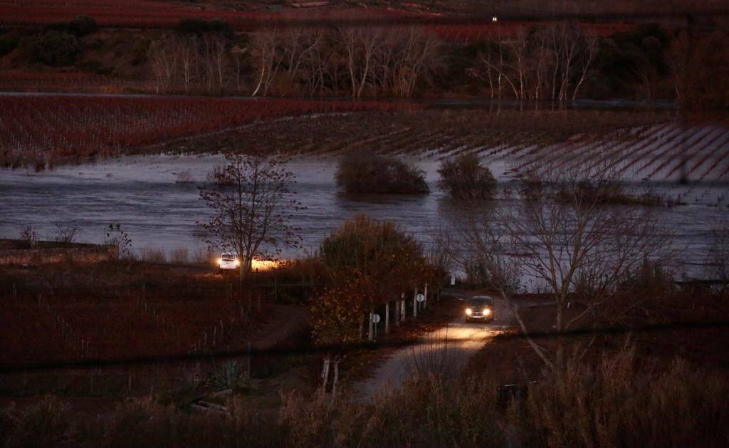 La orilla alavesa del Ebro cerca de Cenicero