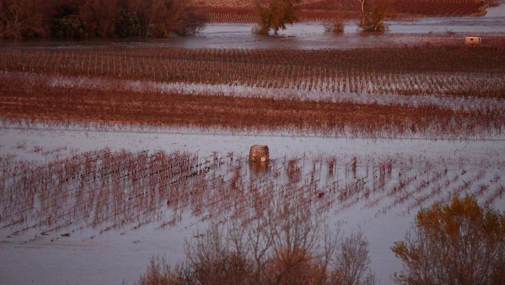 La orilla alavesa del Ebro cerca de Cenicero