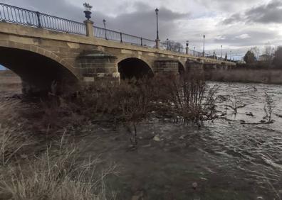 Imagen secundaria 1 - El río Oja vuelve a Santo Domingo de la Calzada