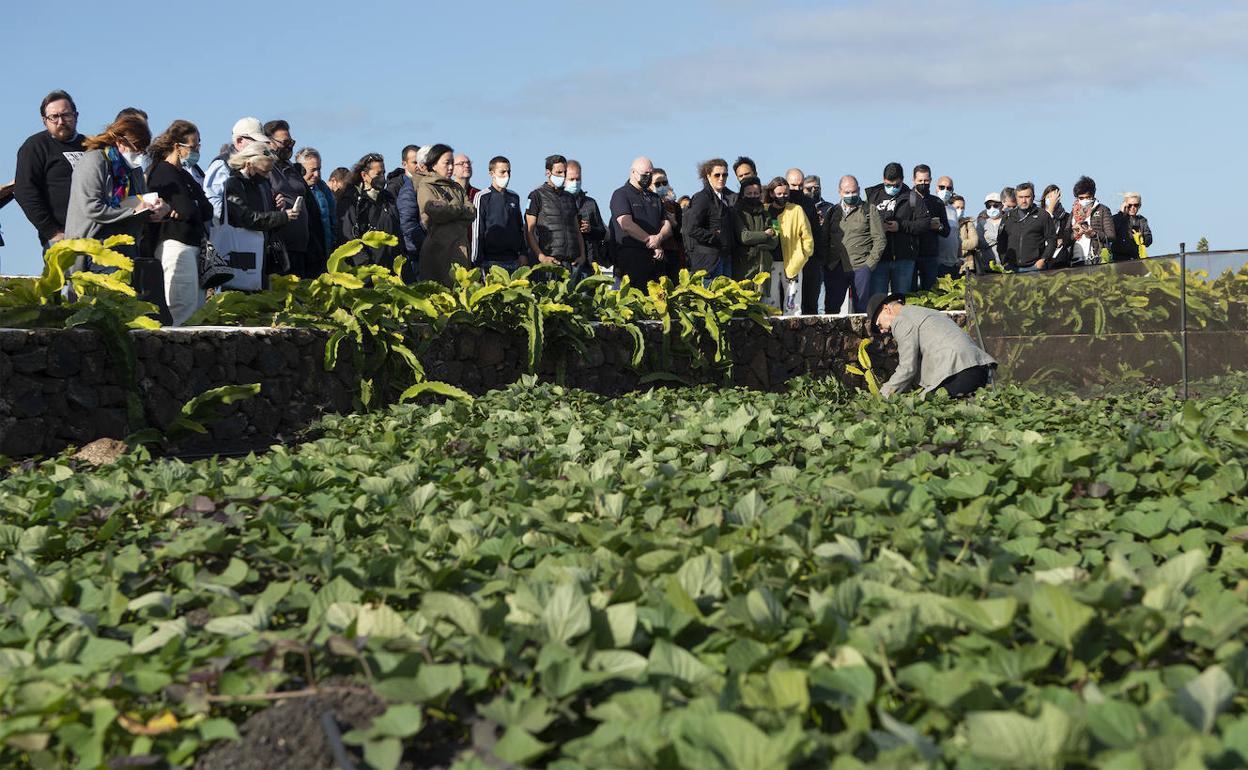 «Lo de La Palma puede pasar en Tenerife, hay que estar preparados»