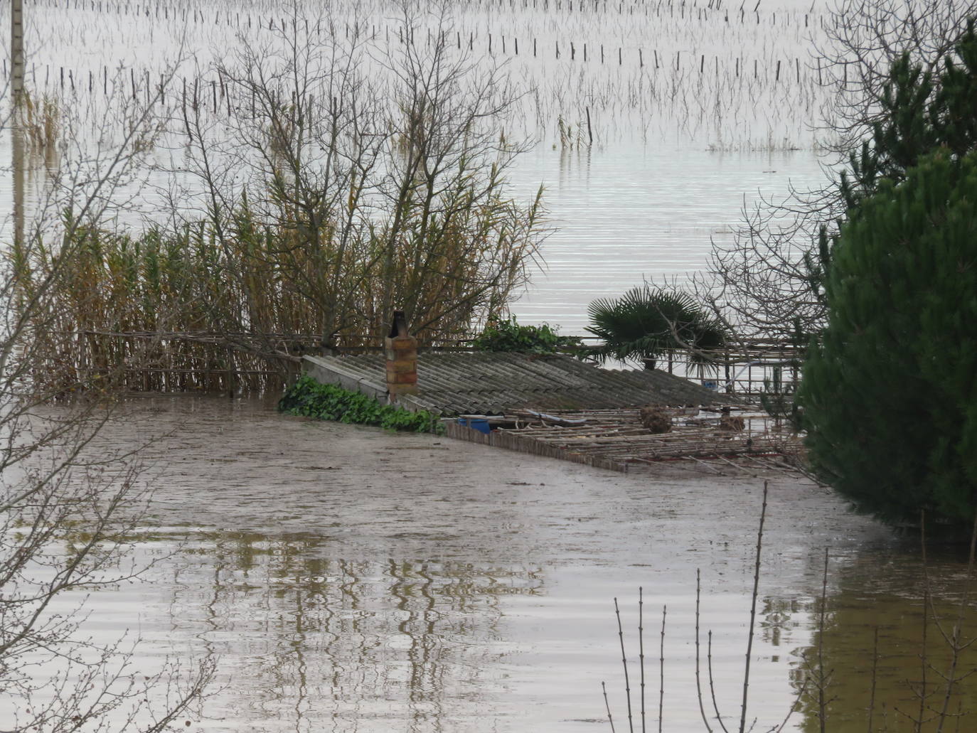 Fotos: Terrenos inundados en Alfaro