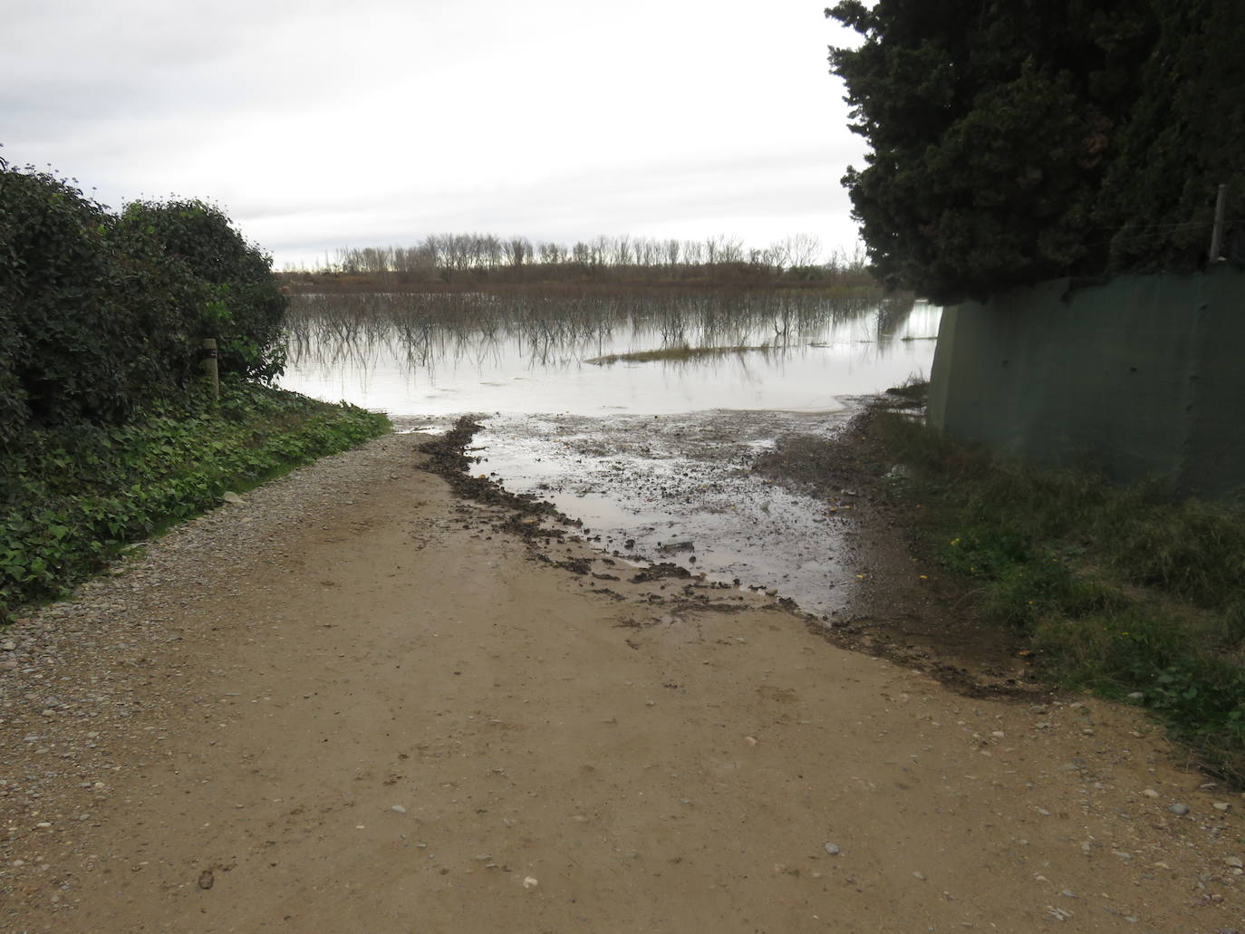 Fotos: Terrenos inundados en Alfaro