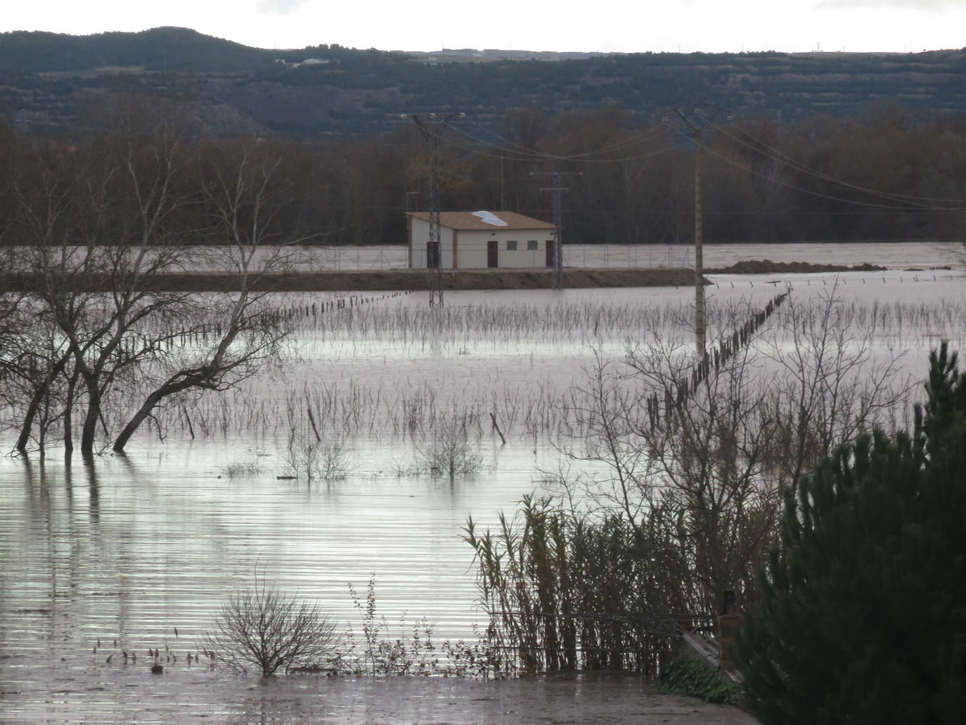 Fotos: Terrenos inundados en Alfaro