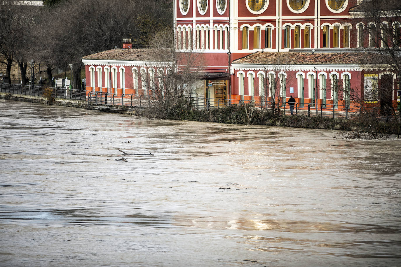 Fotos: Las espectaculares imágenes del río en Logroño