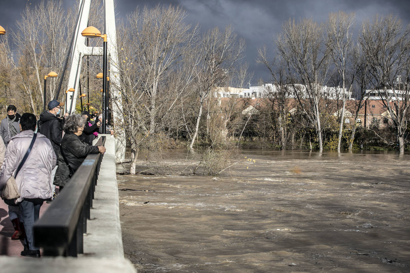 Fotos: Las espectaculares imágenes del río en Logroño