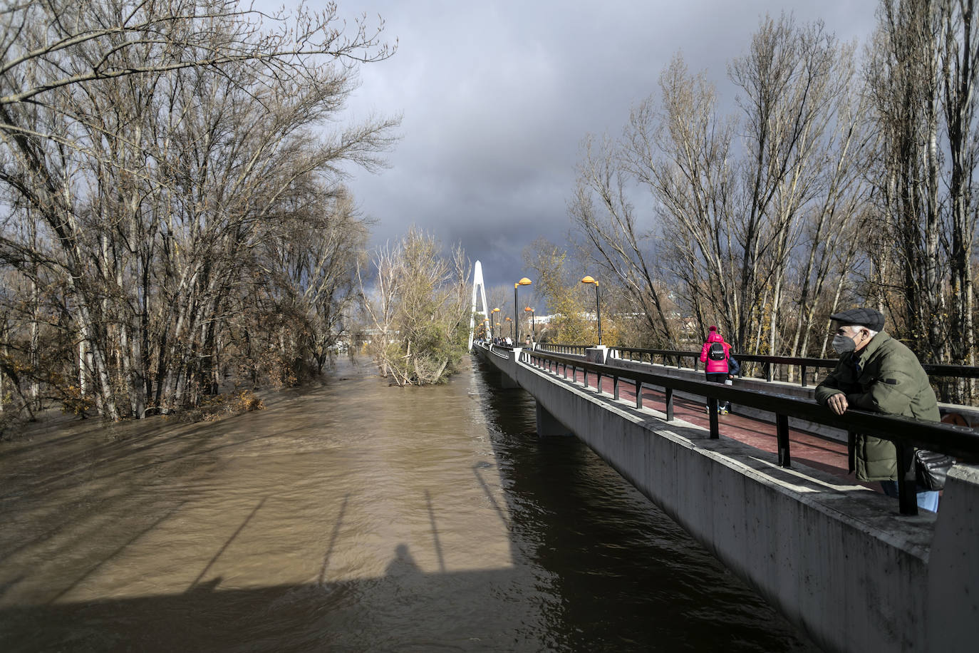 Fotos: Las espectaculares imágenes del río en Logroño