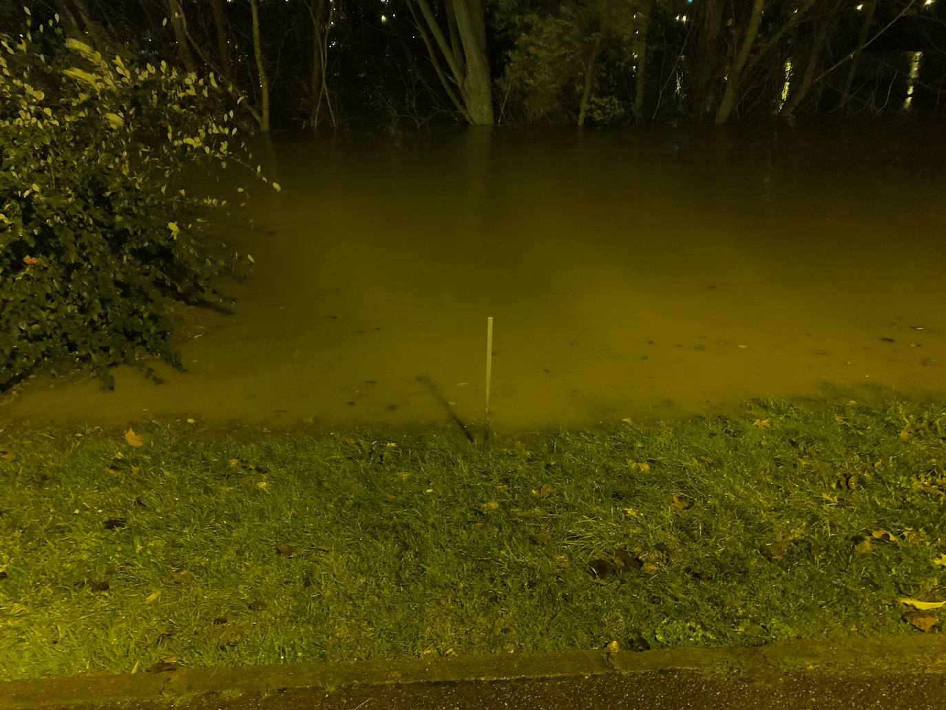 Fotos: Los daños causados por la crecida del Ebro en Logroño