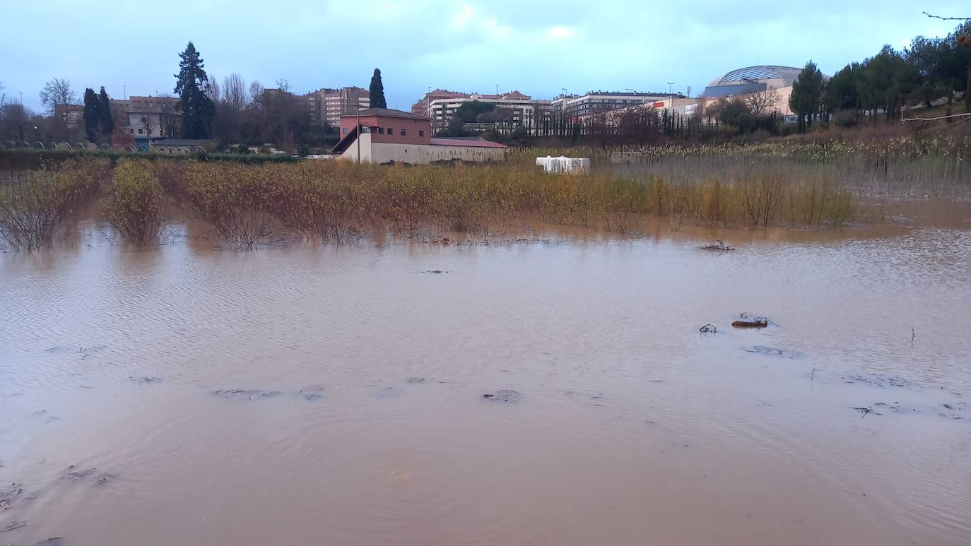 Fotos: Los daños causados por la crecida del Ebro en Logroño