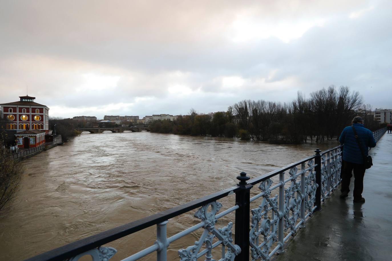 Fotos: Los daños causados por la crecida del Ebro en Logroño