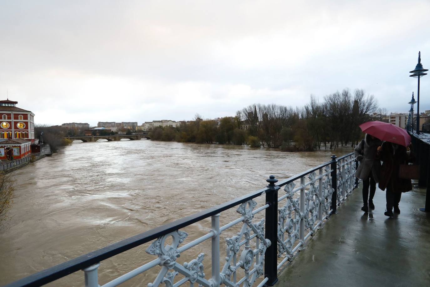 Fotos: Los daños causados por la crecida del Ebro en Logroño