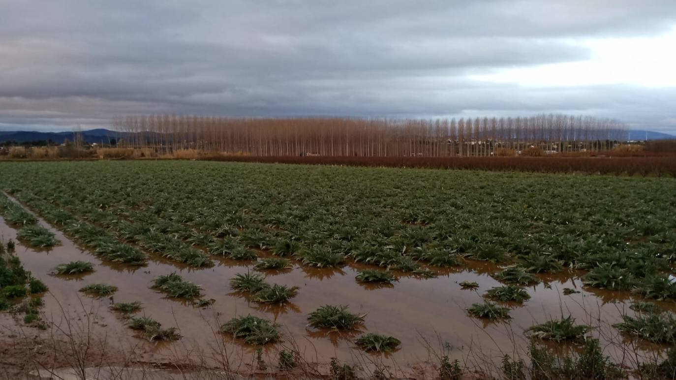 Fotos: Los daños causados por la crecida del Ebro en Logroño