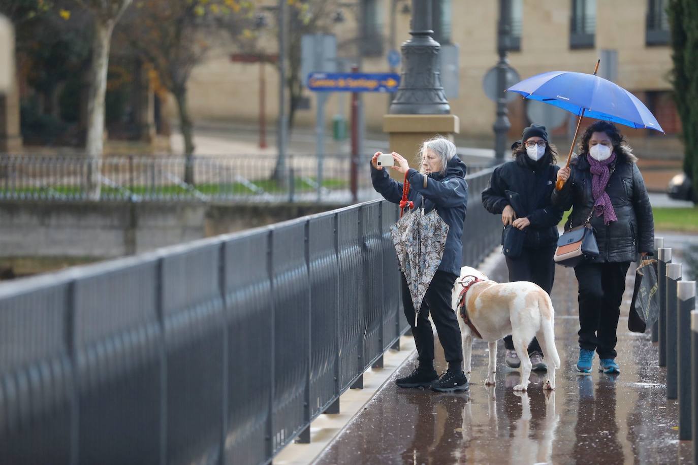 Fotos: Los daños causados por la crecida del Ebro en Logroño