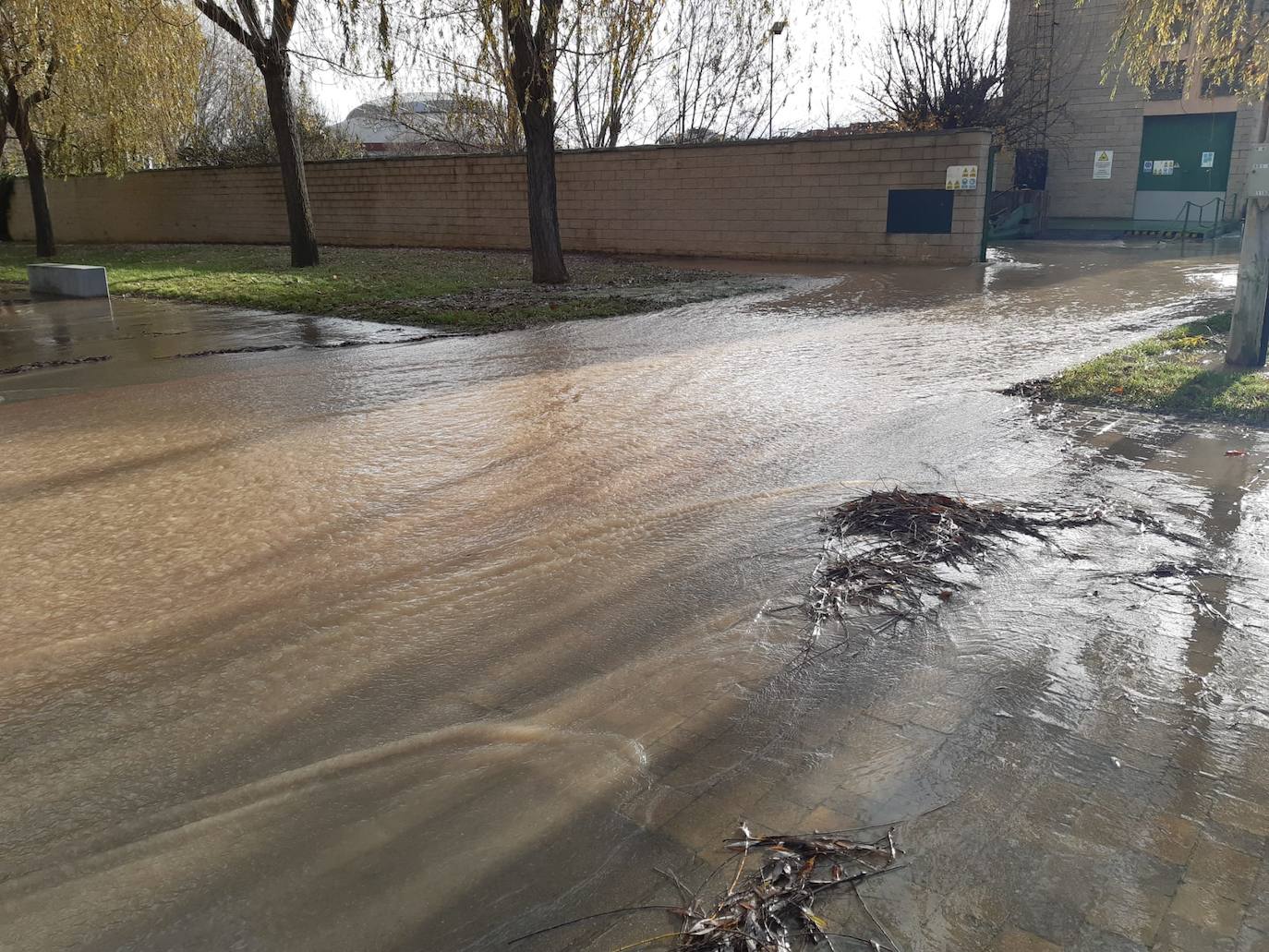 Fotos: Los daños causados por la crecida del Ebro en Logroño