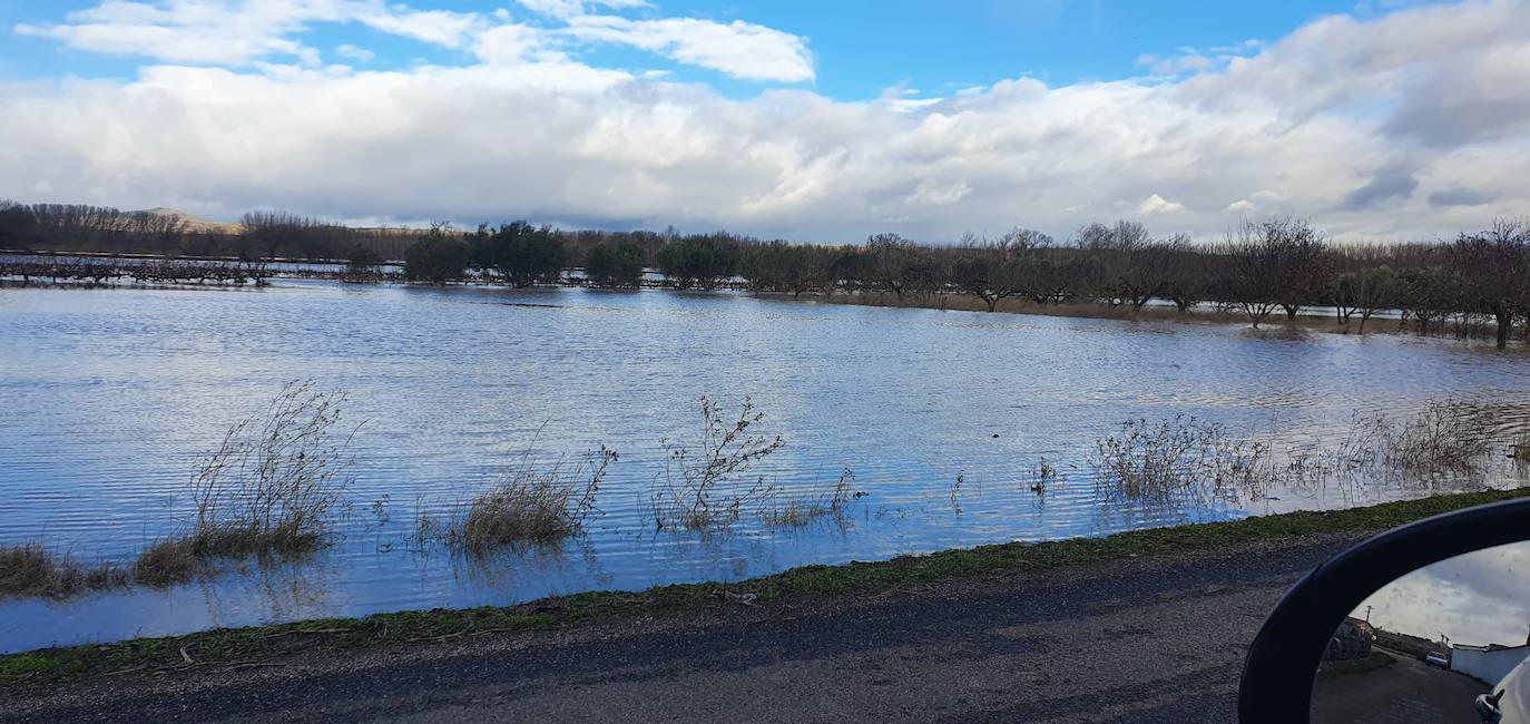 El Ebro a las puertas del cementerio de Agoncillo