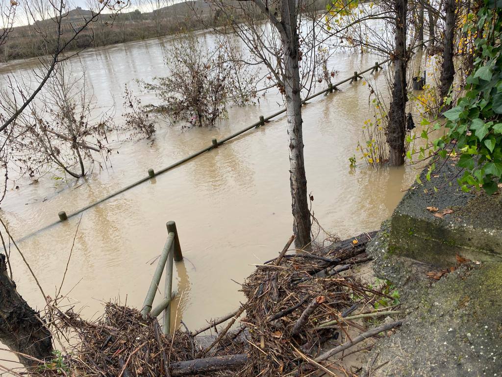 El Ebro a su paso por Briñas