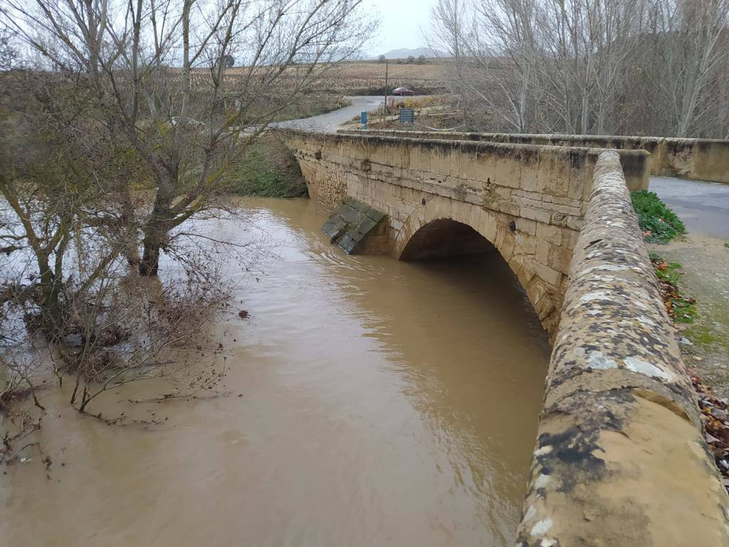 El Ebro a su paso por Briñas