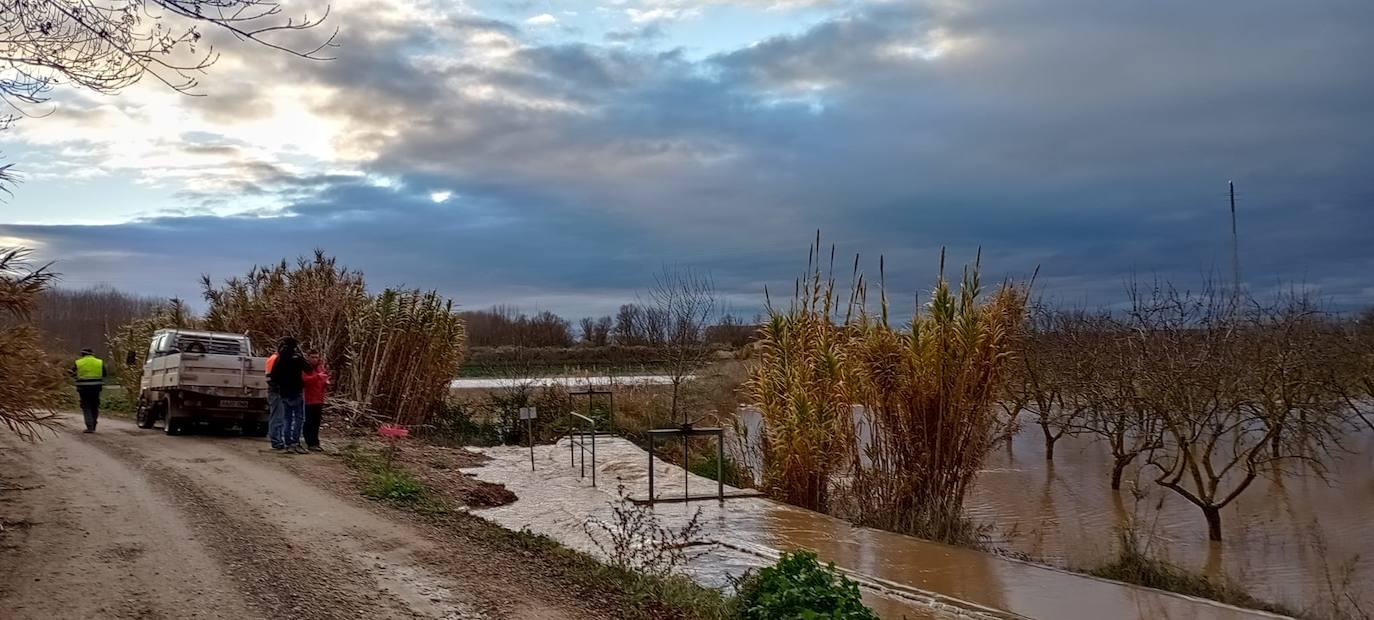 Terrenos junto al caballón del Ebro en Calahorra