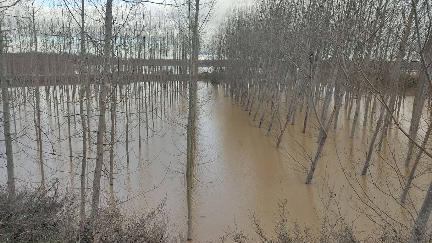 El Ebro a su paso por Alfaro