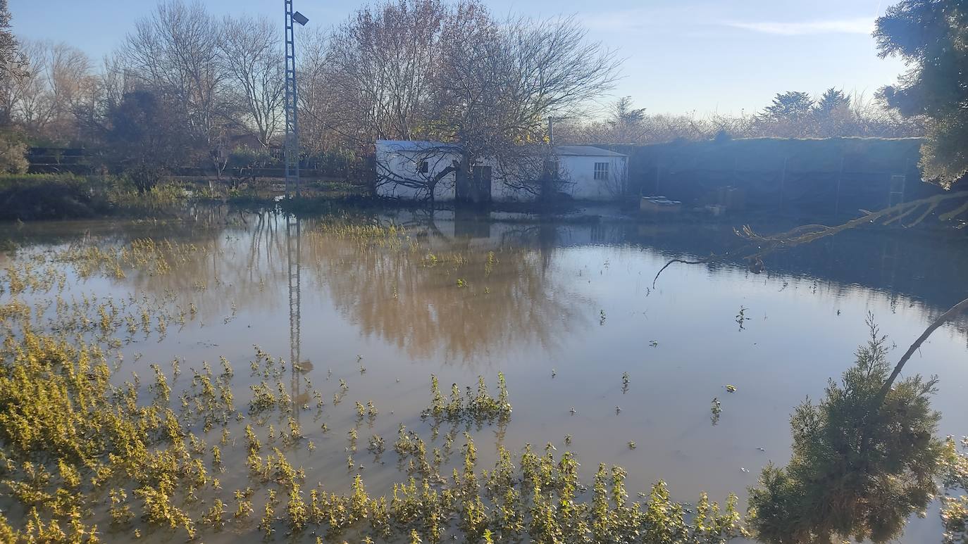 Daños provocados en la zona de Alfaro.