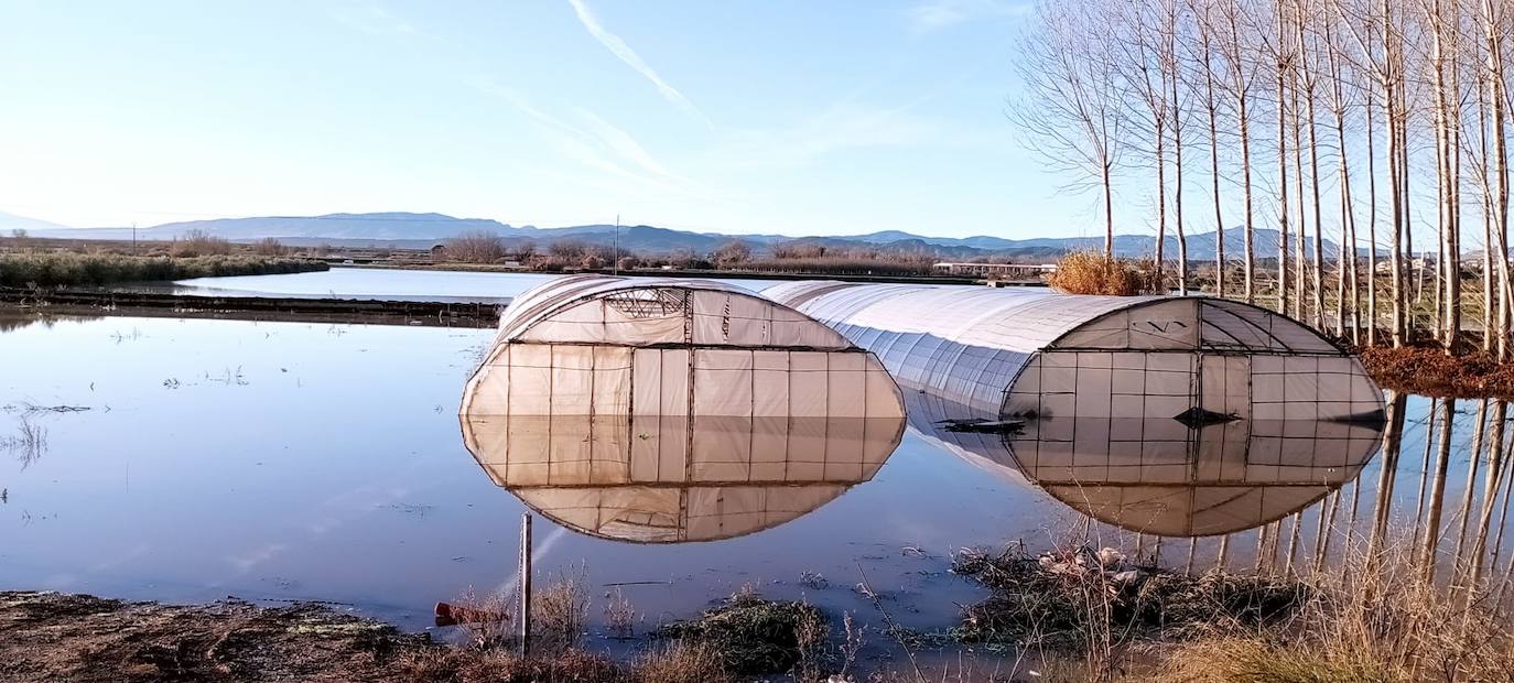 Los cultivos junto al camino del caballon del Ebro en Calahorra