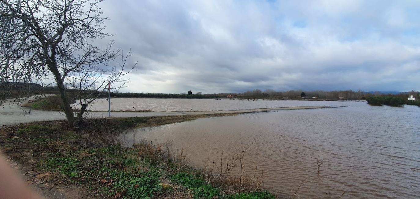 Fotos: Los cultivos de Alfaro y Calahorra, anegados por las inundaciones