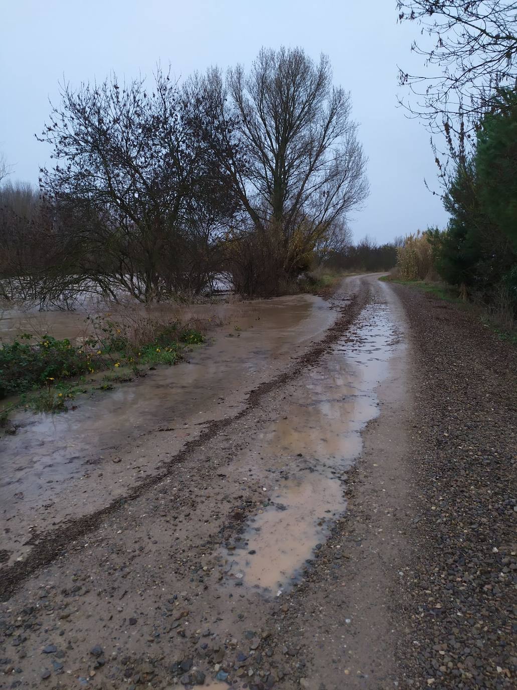 «Si revienta la mota se pueden ir al carajo 2.400 hectáreas de regadío», alertan los regantes de Calahorra