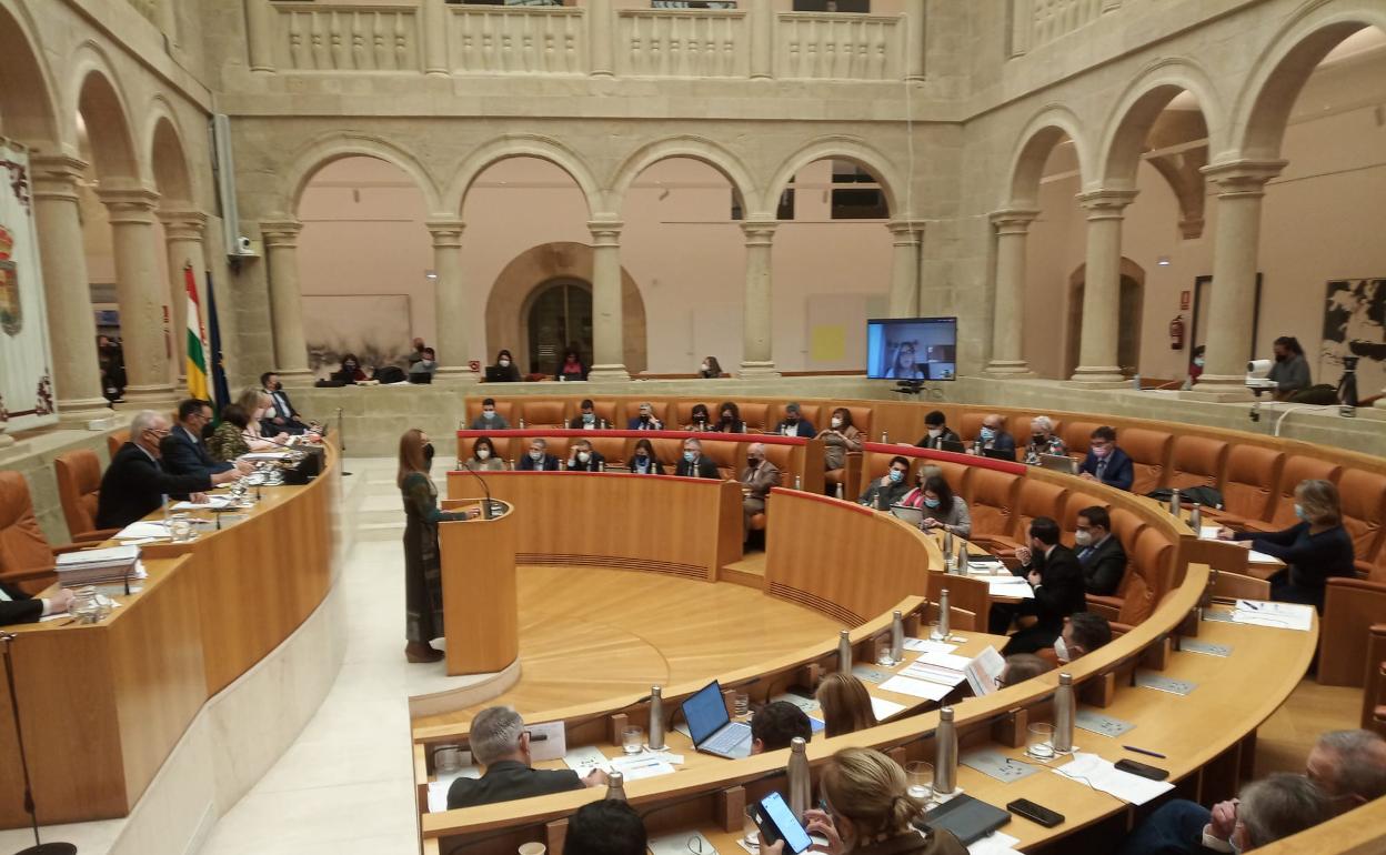 Arregui, durante su intervención en la mañana de hoy en el Pleno del Parlamento. 