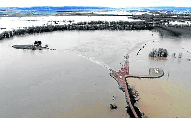 El paraje alfareño de El Estajao cubierto casi por completo por las aguas en la crecida del Ebro. 