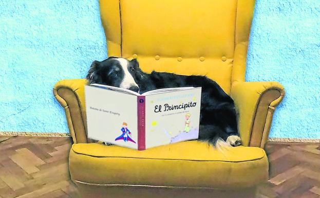 Kun-kun posa con el texto que se usó para el experimento, 'El Principito', de Saint-Exupéry. 