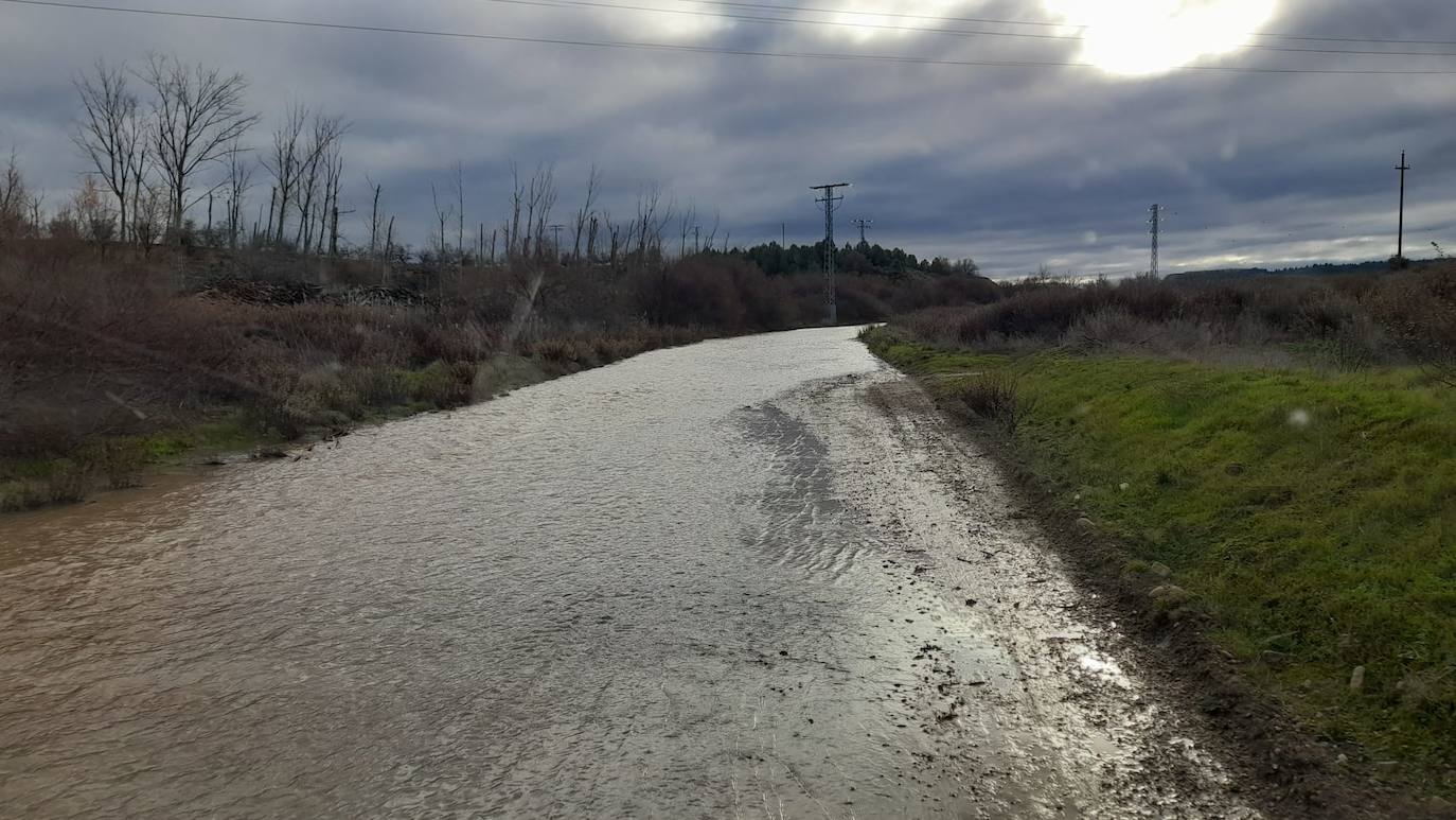 Fotos: Rincón, afectado por la rotura del canal de Lodosa