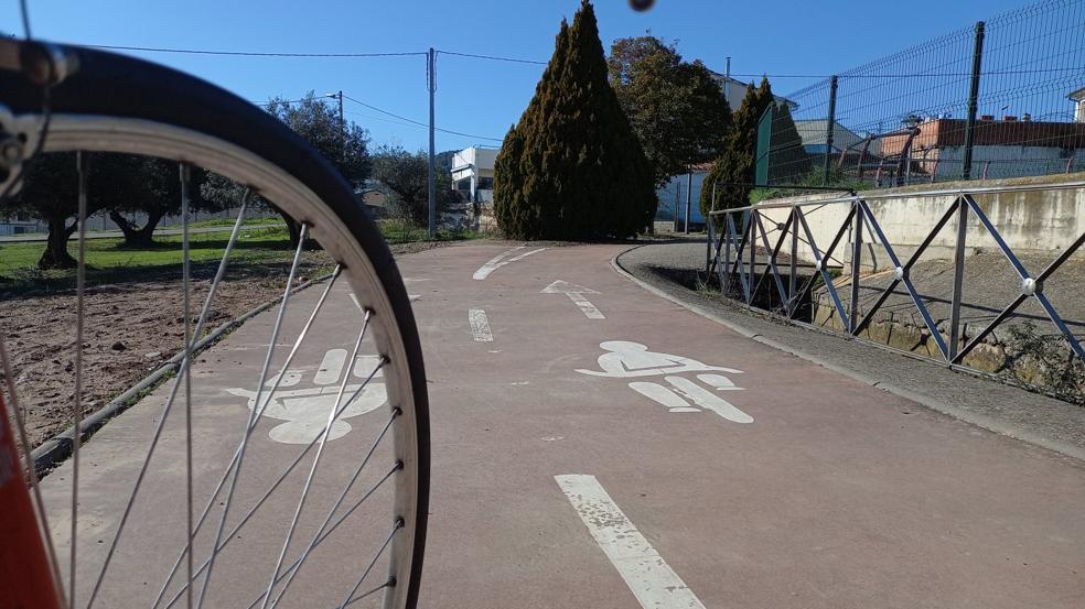 Un enorme seto invade el carril bici en ambos sentidos en la zona deportiva de Lardero. 