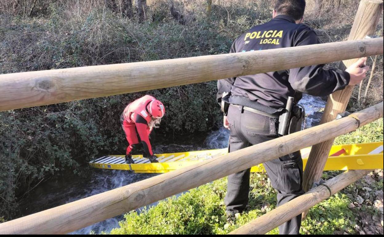 La Policía Local de Nájera rescata a un perro atrapado en el río