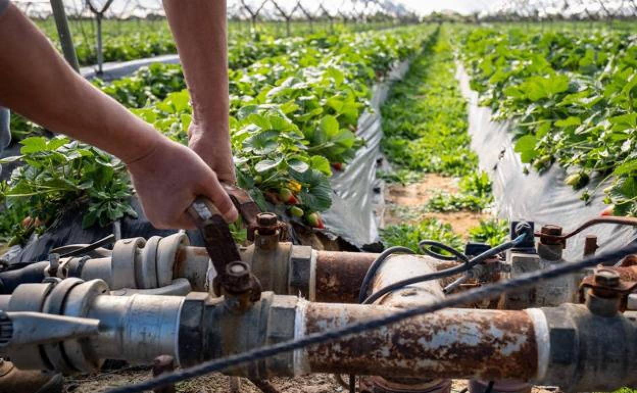 La Rioja recibirá 11 millones de Europa para la modernización de regadíos