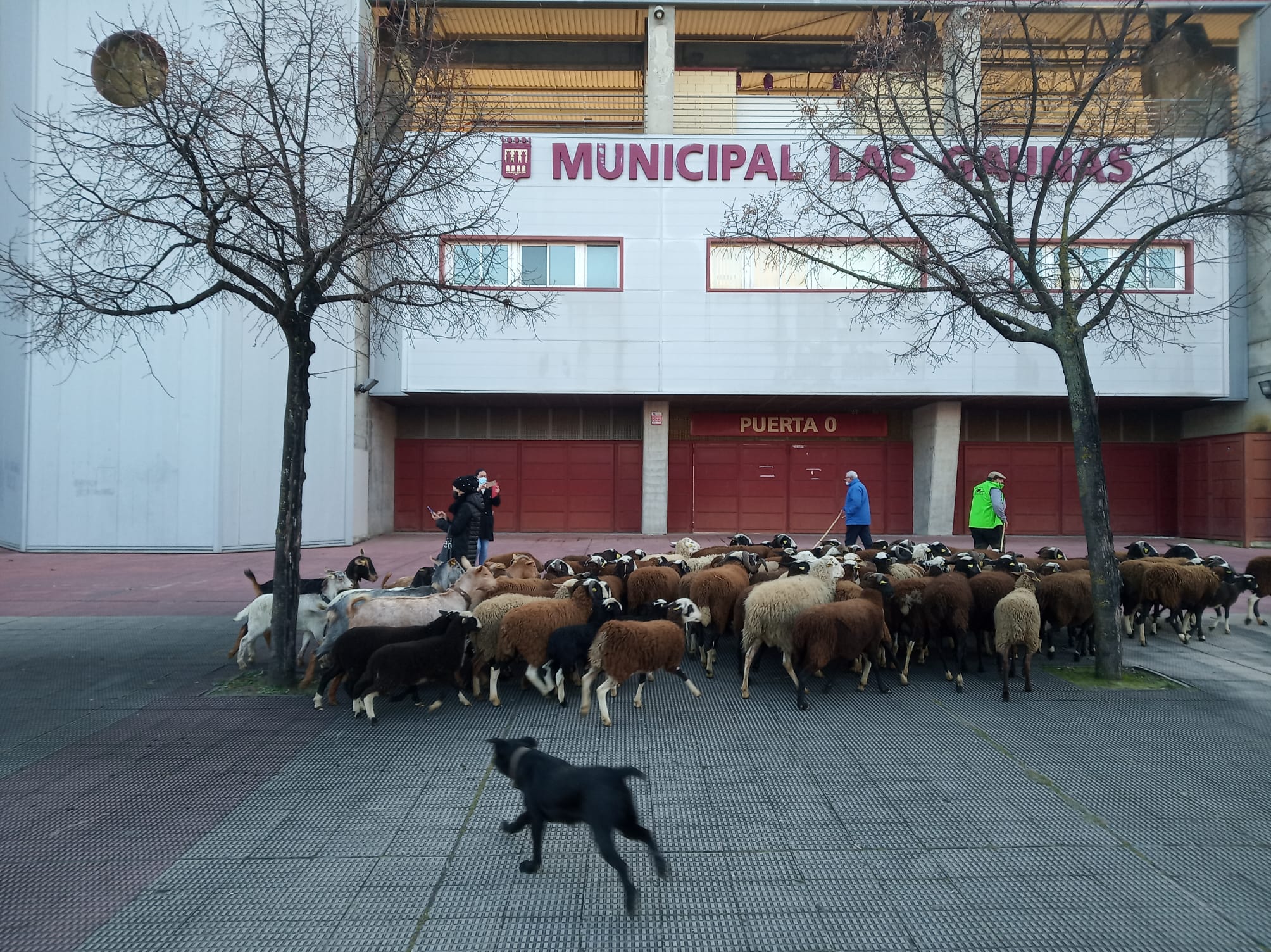 Fotos: Así ha sido la salida de la manifestación del campo