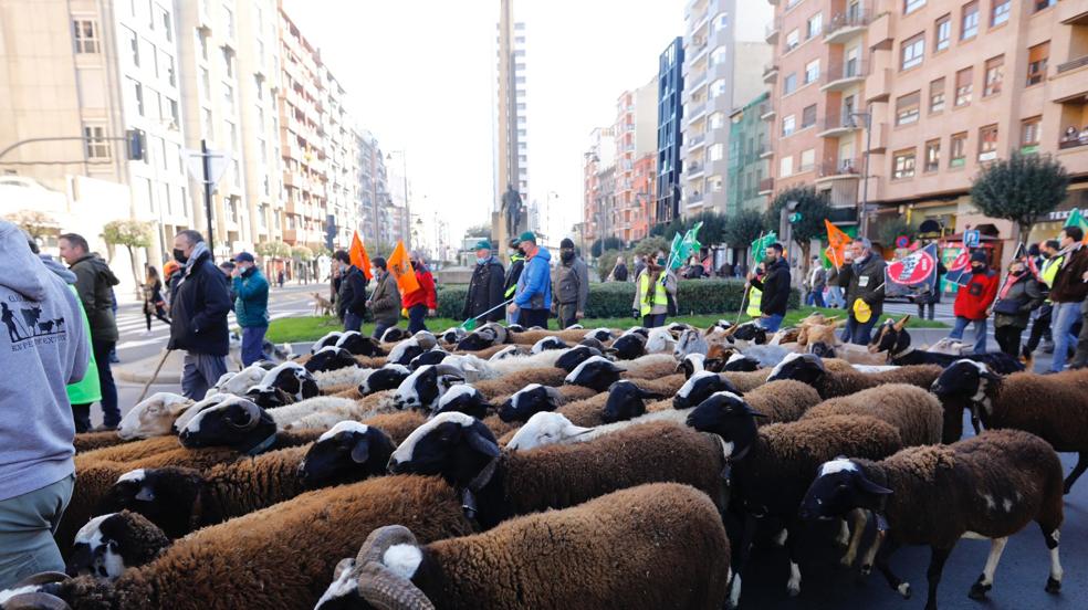 La marcha llega al centro de Logroño