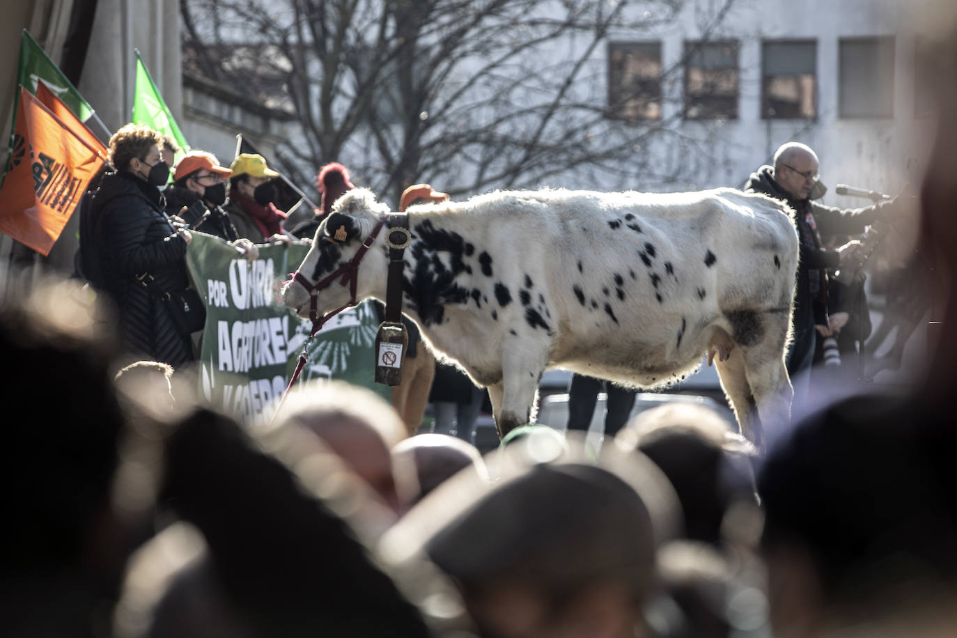 Fotos: El campo riojano se manifiesta en Logroño