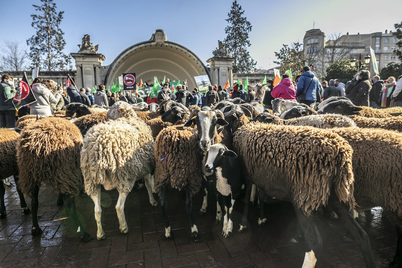 Fotos: El campo riojano se manifiesta en Logroño